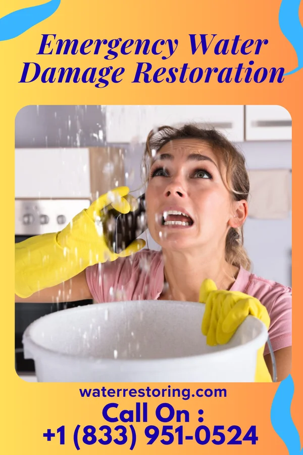 Emergency Water Damage Restoration in Millhousen, IN