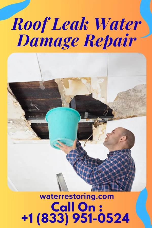 Roof Leak Water Damage Repair in Millhousen, IN