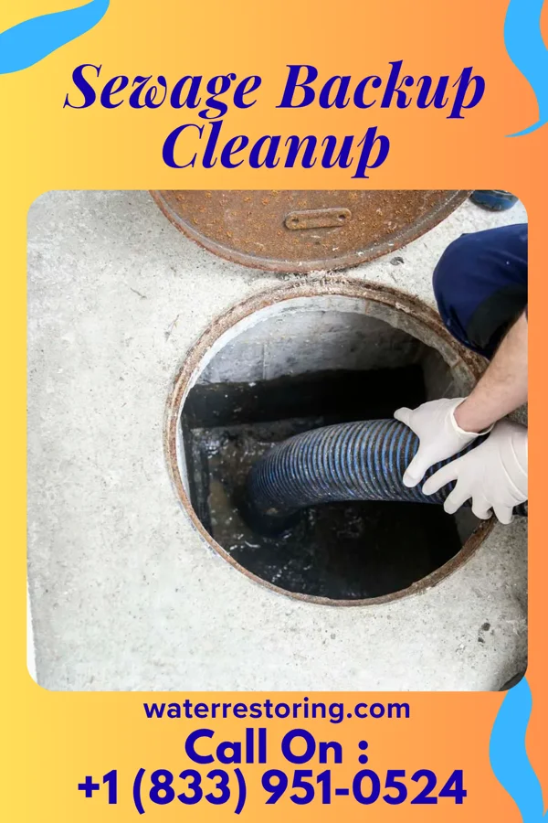 Sewage Backup Cleanup in Millhousen, IN